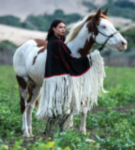 Image 4450760 from Amber Midthunder