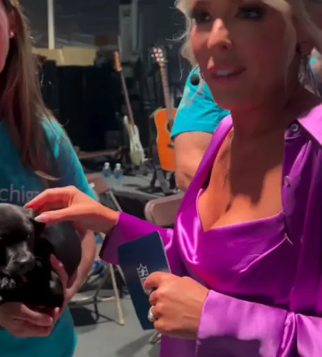 Image 4459022 from Colleen Wolfe