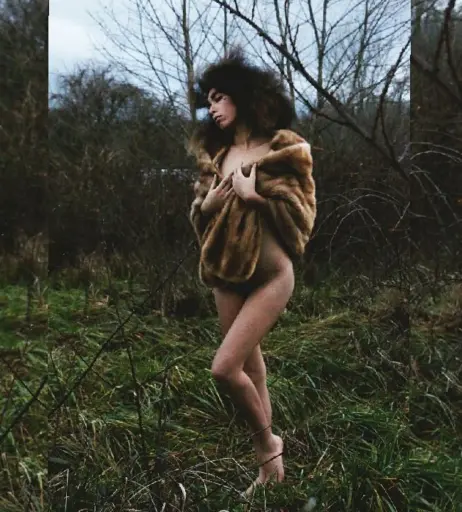 Image 4446161 from Indigo De Souza / IndigoFarAway