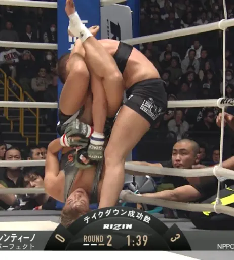 Image 4447114 from Women of UFC &amp; MMA