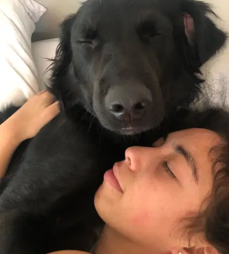 Image 4444354 from Indigo De Souza / IndigoFarAway