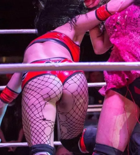Image 4442961 from WWE GiGi Dolin / Priscilla Kelly