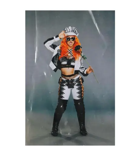 Image 4440427 from WWE GiGi Dolin / Priscilla Kelly