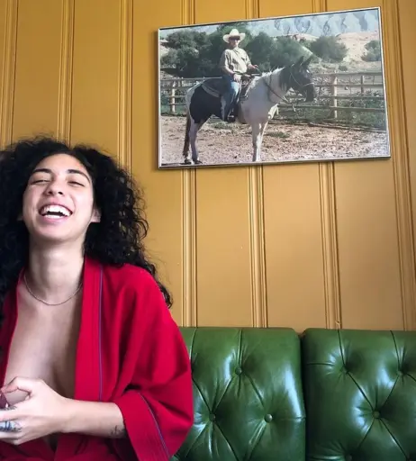 Image 4449006 from Indigo De Souza / IndigoFarAway