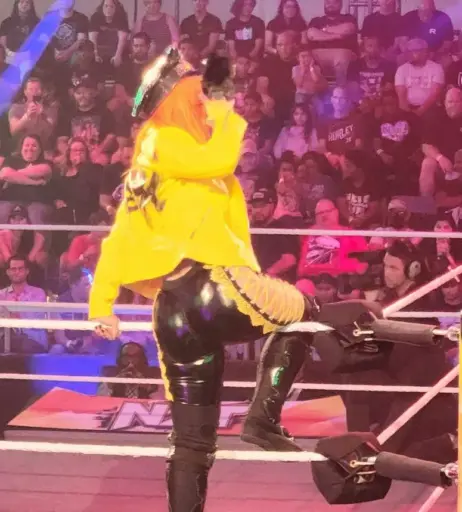Image 4437433 from WWE GiGi Dolin / Priscilla Kelly