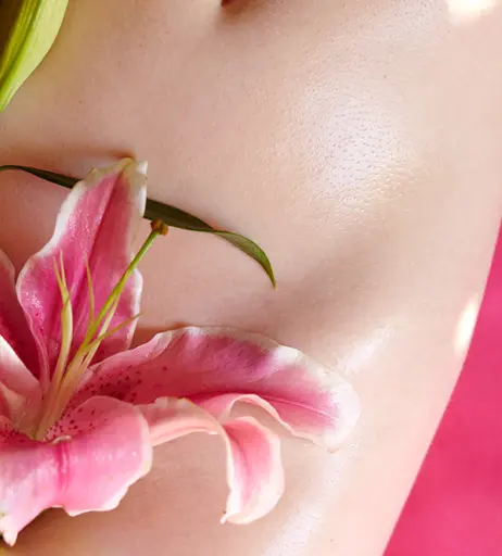 Image 4434888 from Willow Avalon