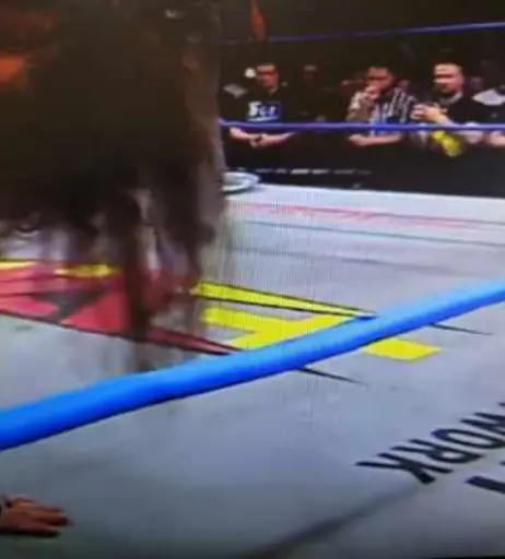 Image 4431203 from Impact Wrestling Alisha Edwards