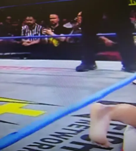 Image 4431231 from Impact Wrestling Alisha Edwards