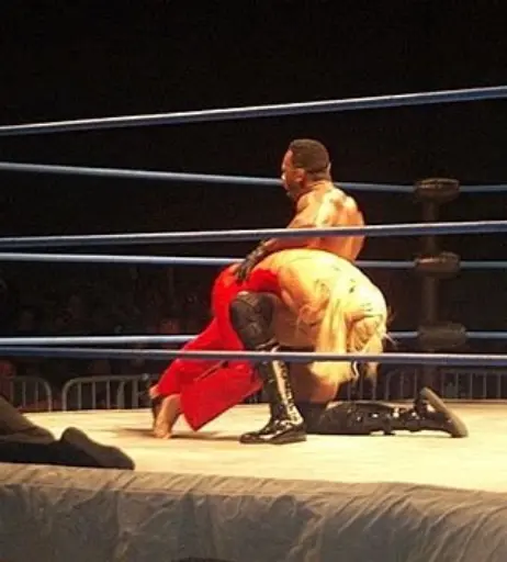 Image 4430760 from WWE Torrie Wilson