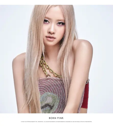 Image 4430087 from Rosé || Roseanne Park - BLΛƆKPIИK ( BLACKPINK )