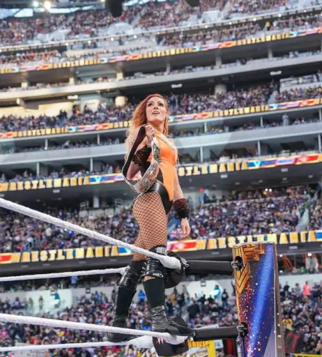 Image 4430012 from WWE Becky Lynch