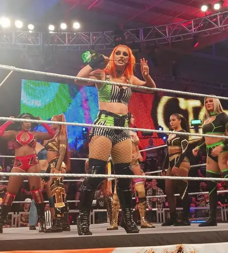Image 4439311 from WWE GiGi Dolin / Priscilla Kelly