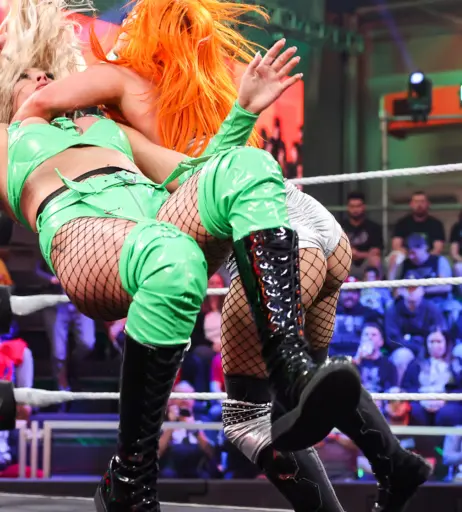 Image 4439921 from WWE GiGi Dolin / Priscilla Kelly