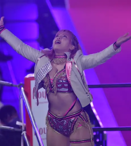 Image 4426804 from Women of Professional Wrestling