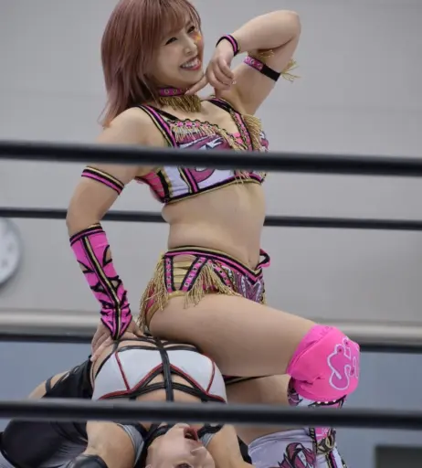 Image 4426721 from Women of Professional Wrestling