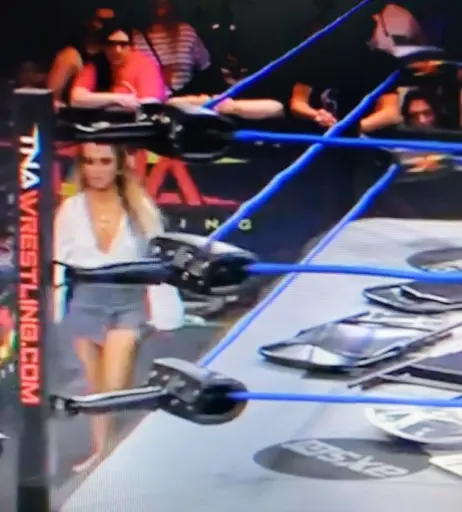 Image 4427695 from Impact Wrestling Alisha Edwards