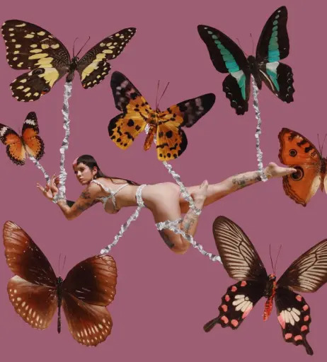 Image 4424463 from Melanie Martinez