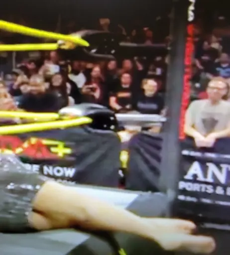 Image 4420242 from Impact Wrestling Alisha Edwards