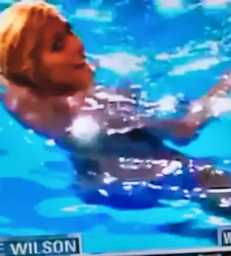 Image 4429541 from WWE Torrie Wilson