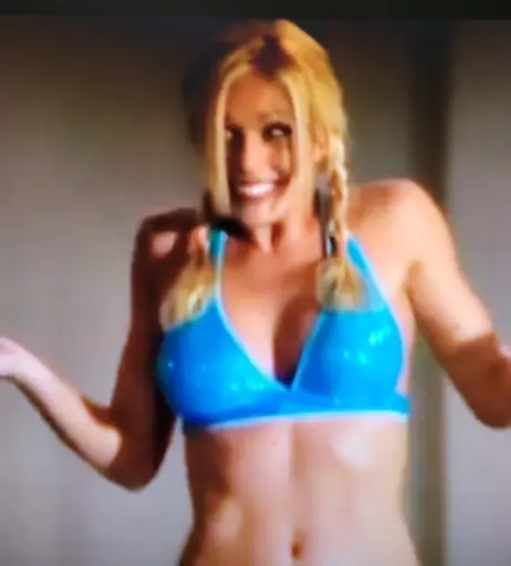 Image 4429102 from WWE Torrie Wilson