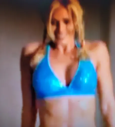Image 4429049 from WWE Torrie Wilson