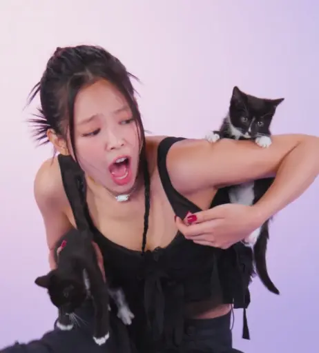 Image 4429396 from Jennie | BLΛƆKPIИK (Blackpink)