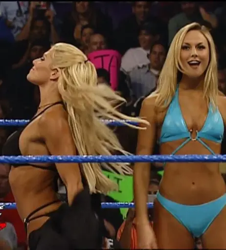 Image 4416149 from WWE Torrie Wilson