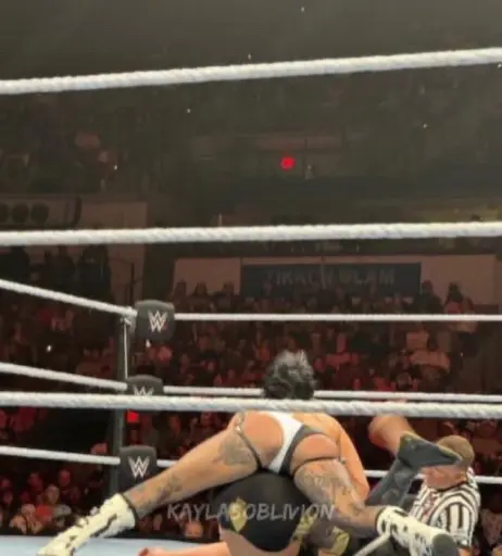 Image 4417580 from WWE Rhea Ripley