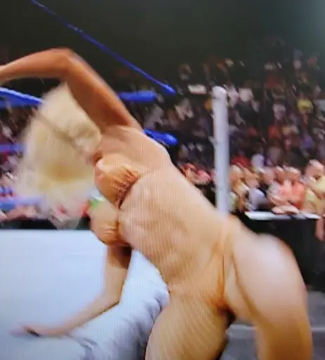 Image 4411702 from WWE Torrie Wilson