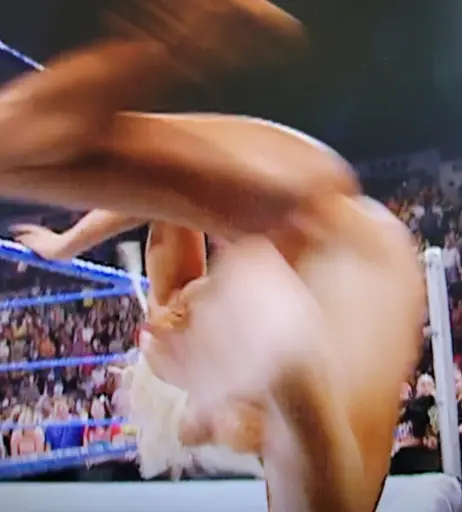 Image 4411674 from WWE Torrie Wilson