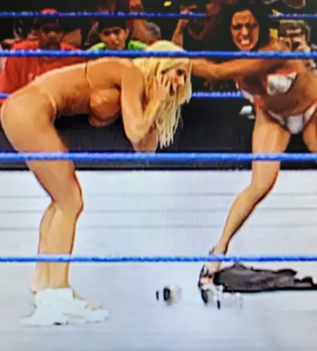 Image 4411189 from WWE Torrie Wilson