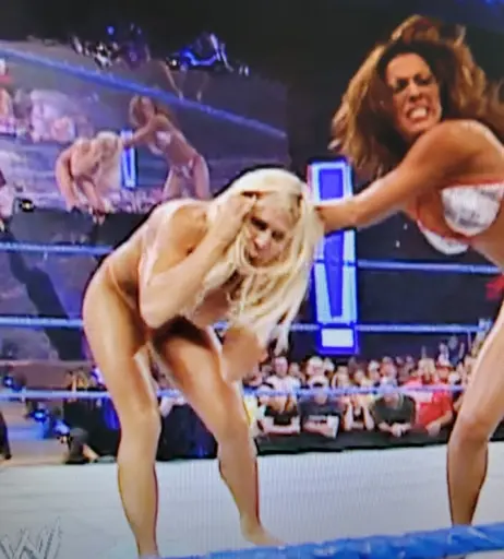 Image 4411155 from WWE Torrie Wilson