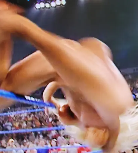 Image 4411355 from WWE Torrie Wilson