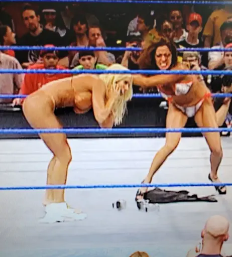 Image 4411209 from WWE Torrie Wilson