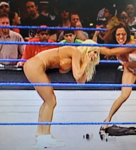 Image 4411200 from WWE Torrie Wilson