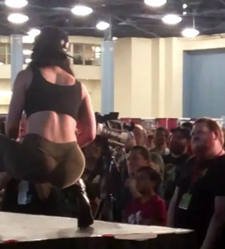 Image 4412888 from WWE's Paige / Saraya Bevis