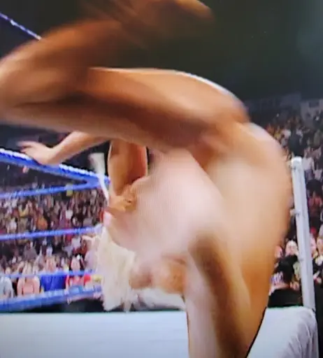 Image 4412401 from WWE Torrie Wilson