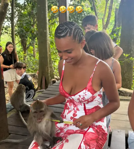 Image 4412257 from Paola Locatelli