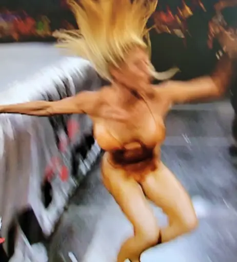 Image 4412222 from WWE Torrie Wilson