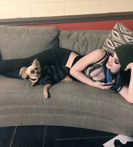 Image 4413132 from WWE's Paige / Saraya Bevis