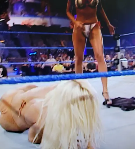 Image 4410556 from WWE Torrie Wilson