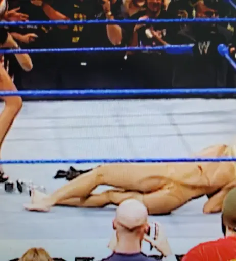 Image 4410520 from WWE Torrie Wilson