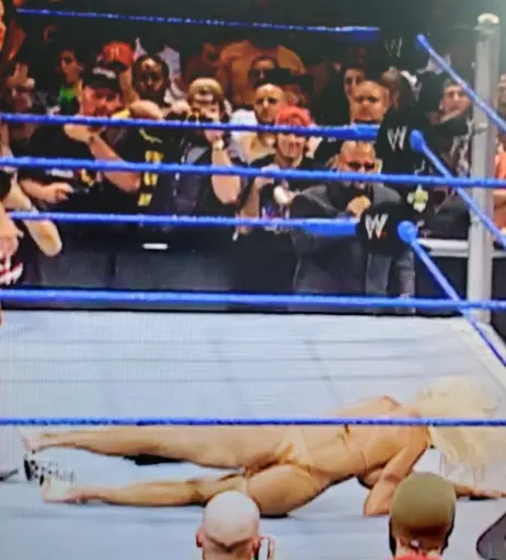 Image 4410457 from WWE Torrie Wilson