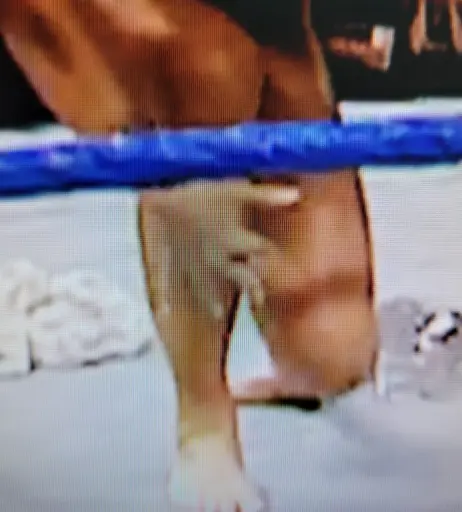 Image 4410700 from WWE Torrie Wilson