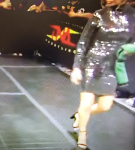 Image 4419948 from Impact Wrestling Alisha Edwards