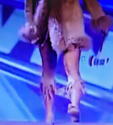 Image 4405607 from WWE Torrie Wilson