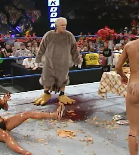 Image 4405011 from WWE Torrie Wilson