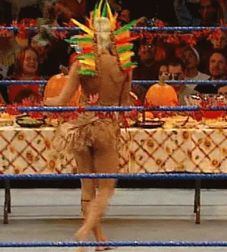 Image 4405395 from WWE Torrie Wilson