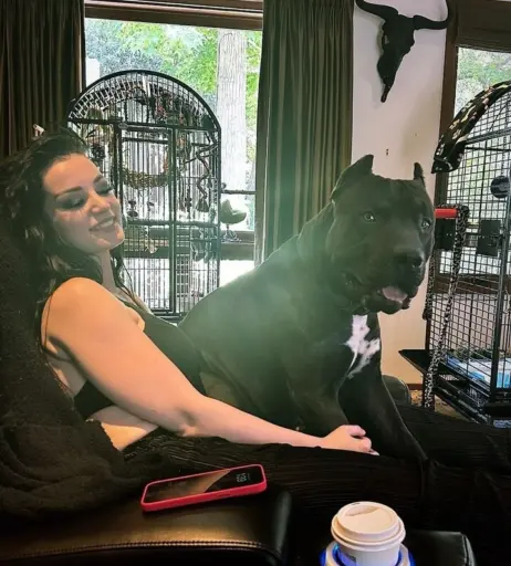 Image 4405309 from WWE's Paige / Saraya Bevis