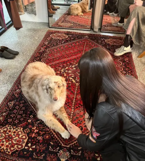 Image 4406889 from Jennie | BLΛƆKPIИK (Blackpink)